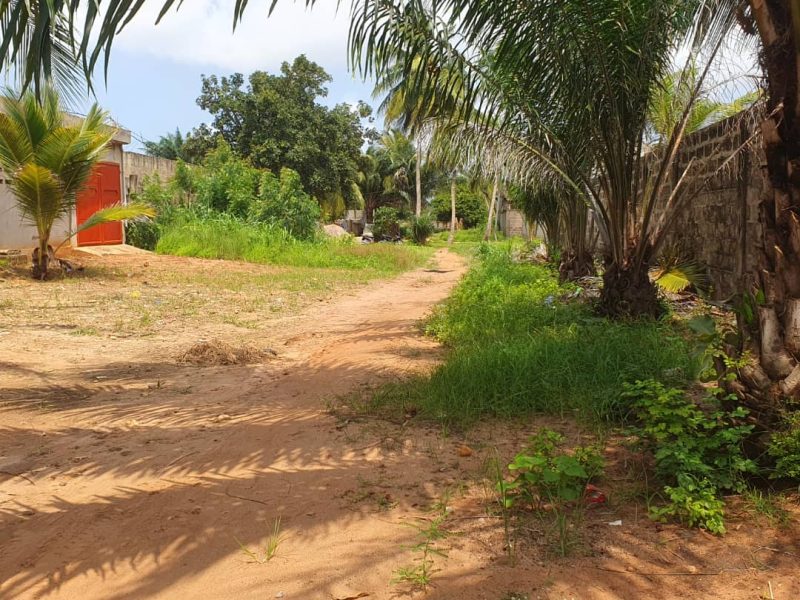Vente de terrain
