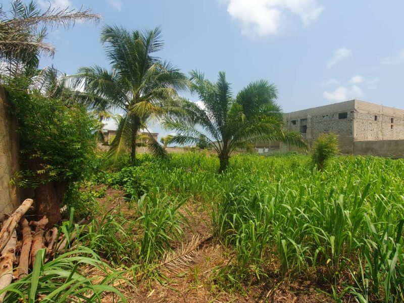 Vente de terrain