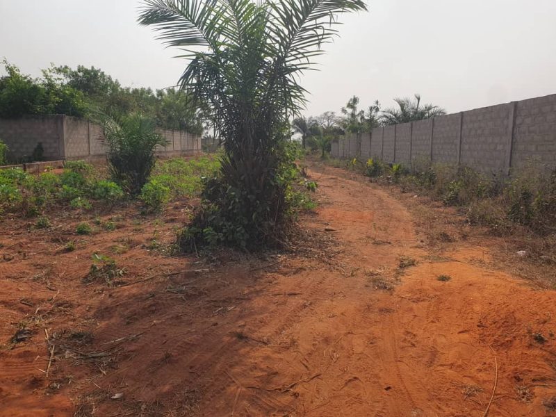 TERRAIN A VENDRE A NOEPE