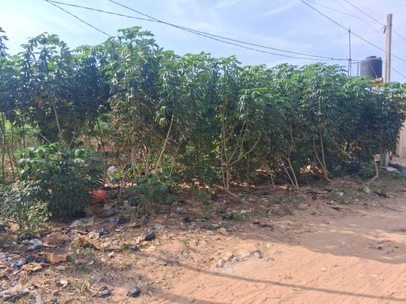 ✨✨`TERRAIN A VENDRE À ADIDOGOMÉ APEDOKOÈ`