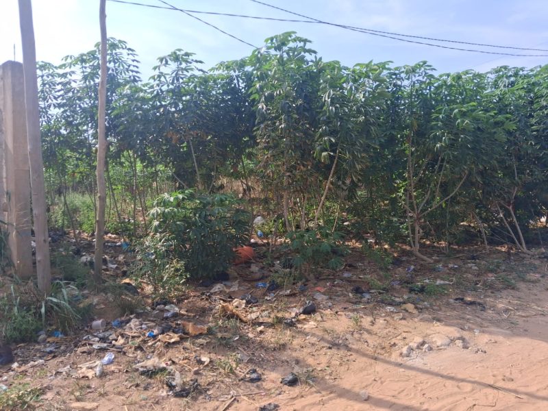 ✨✨`TERRAIN A VENDRE À ADIDOGOMÉ APEDOKOÈ`