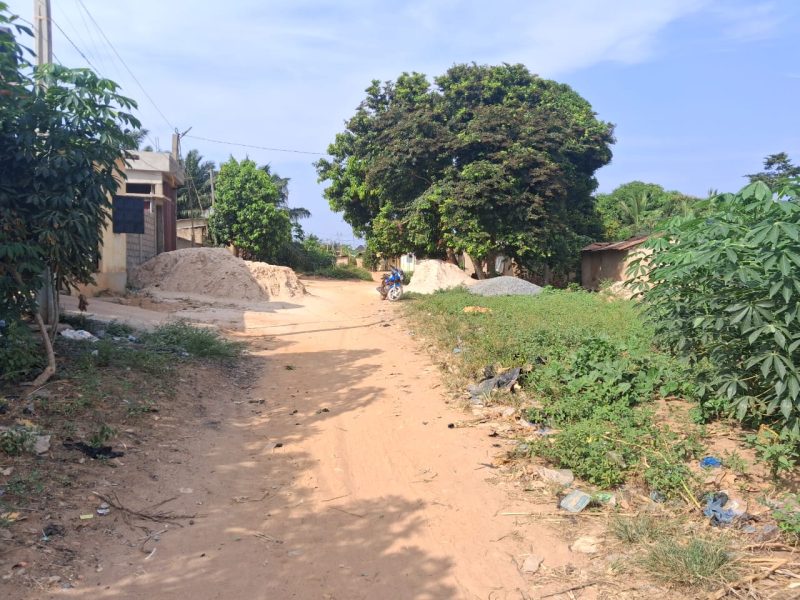 ✨✨`TERRAIN A VENDRE À ADIDOGOMÉ APEDOKOÈ`