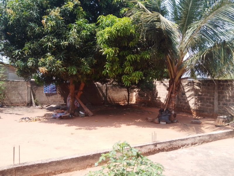 ✨✨`TERRAIN A VENDRE A AVEDJI APPOLON`