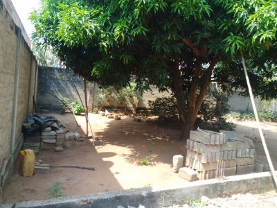✨✨`TERRAIN A VENDRE A AVEDJI APPOLON`