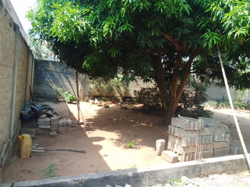 ✨✨`TERRAIN A VENDRE A AVEDJI APPOLON`