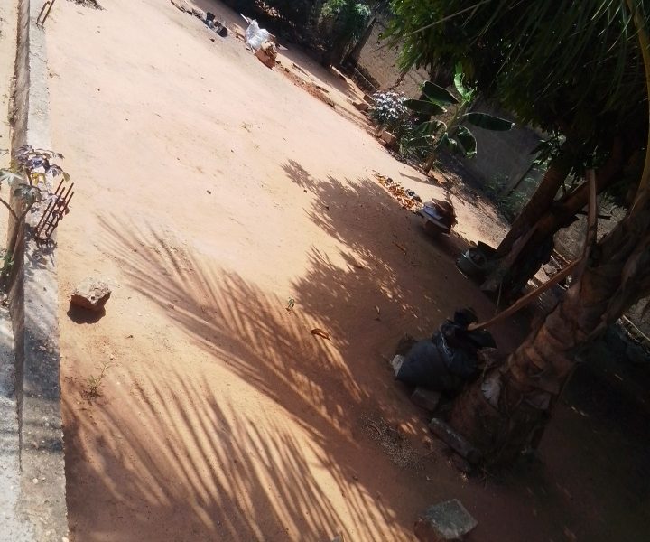 ✨✨`TERRAIN A VENDRE A AVEDJI APPOLON`