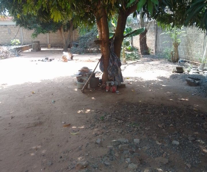 ✨✨`TERRAIN A VENDRE A AVEDJI APPOLON`