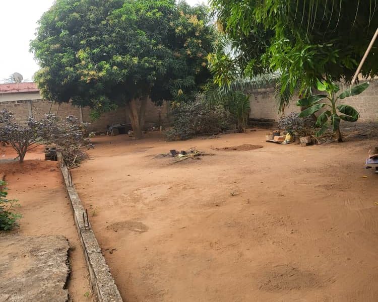 ✨✨`TERRAIN A VENDRE A AVEDJI APPOLON`