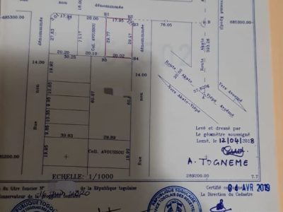 ✨✨`PARCELLE À VENDRE À HEDRANAWOÉ`