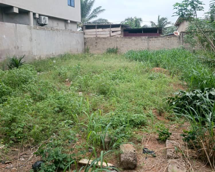 ✨✨`UN BON TERRAIN A VENDRE A ZANGUÉRA`