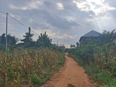 TERRAIN A VENDRE A ZANGUERA